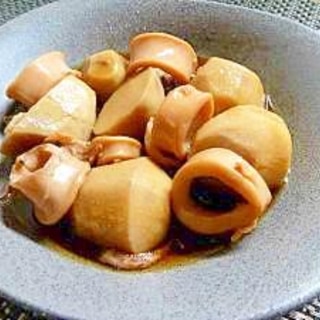 かき醤油で味付け入らず！ヤリイカと里芋の簡単煮物